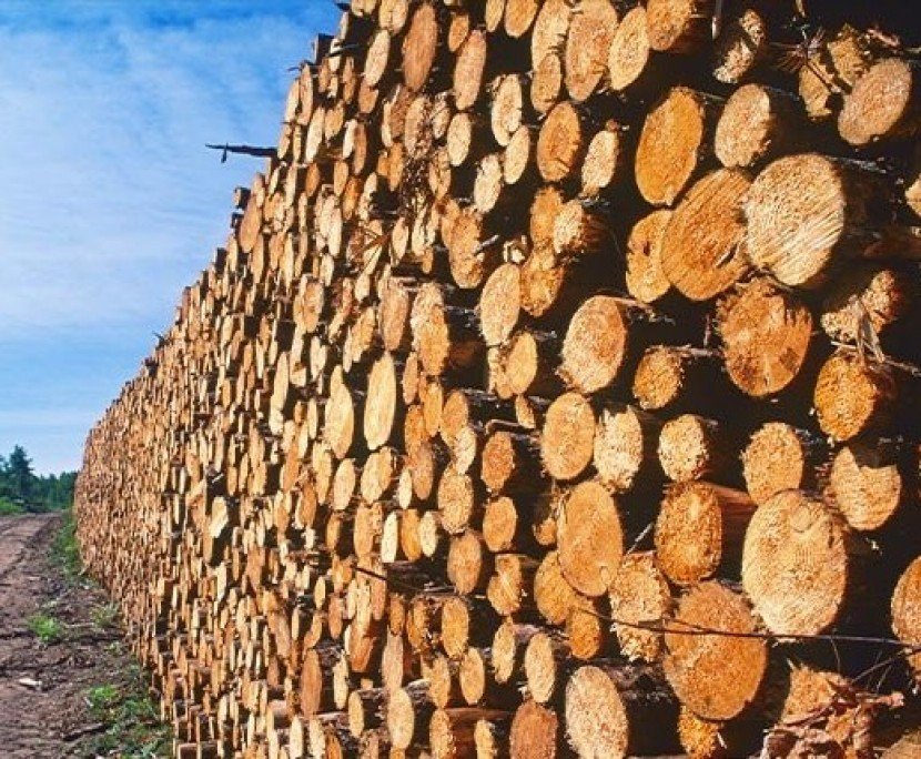  Solutions for <strong>Wood companies</strong>