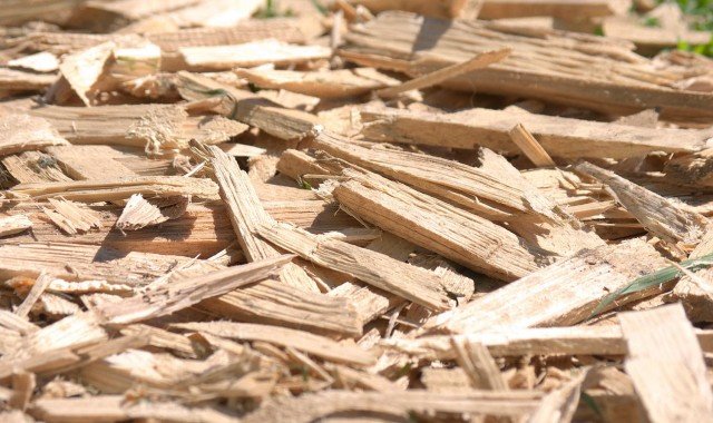 Wood chip – The fuel to generate energy in Wortice turbines!