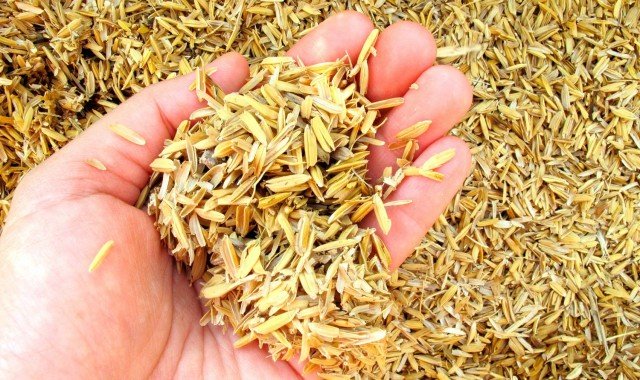 How to generate energy from rice husk