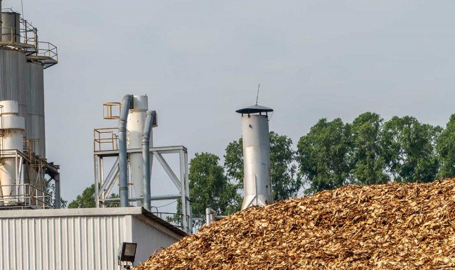 Wortice solutions for the generation of energy from biomass