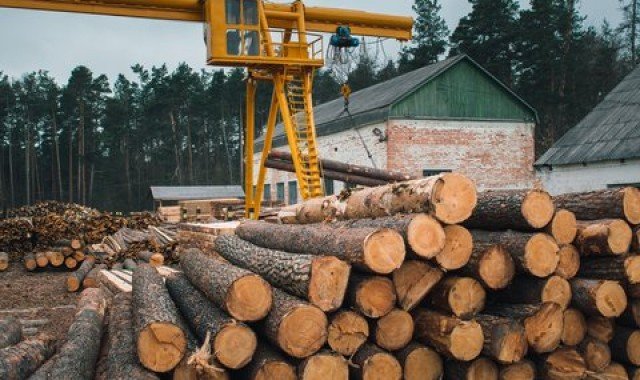 Biomass in the wood segment